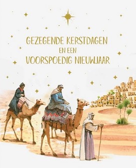 Kerstkaarten 9523